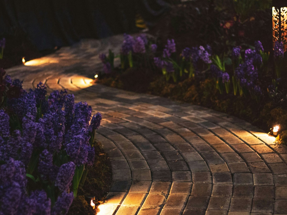 Los jardines oscuros