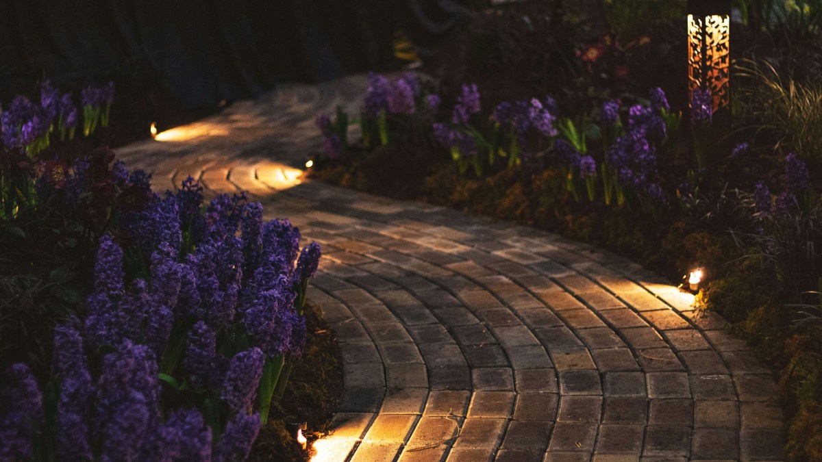 Los jardines oscuros